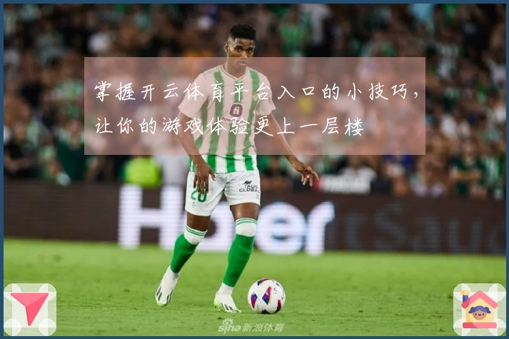 掌握开云体育平台入口的小技巧，让你的游戏体验更上一层楼